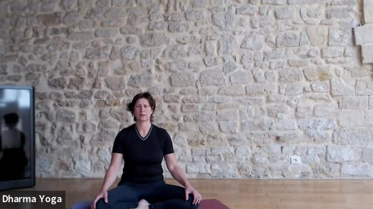 Yoga Douceur Seeds